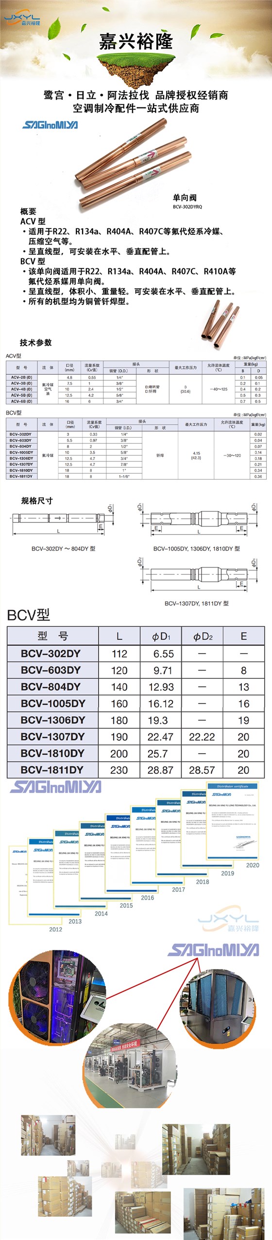 单向阀BCV-302DYRQ